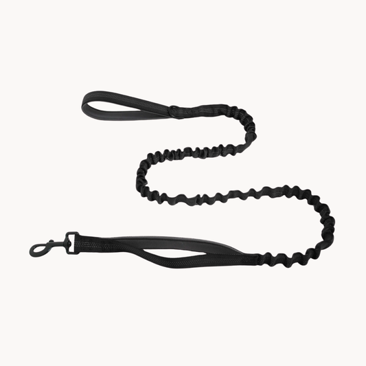 ParoPet Bungee-Hundeleine