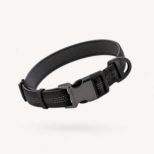 ParoPet Essentials Hundehalsband