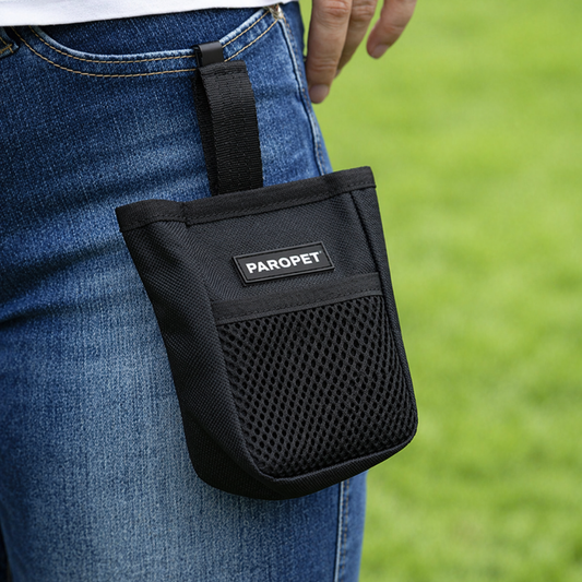 Leckerli-Tasche für den Spaziergang
