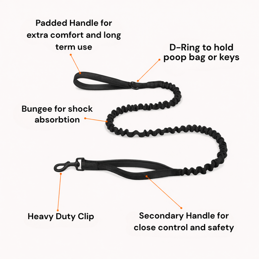 ParoPet Bungee-Hundeleine